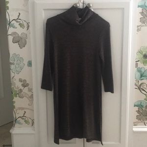 Anthropologie Brown Knit Turtle Neck Dress